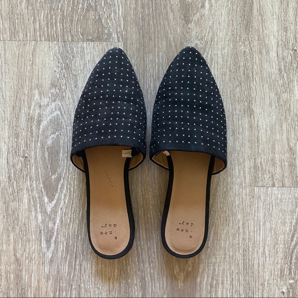 A New Day Mules